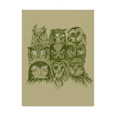 Rachel Caldwell 'Nine Owls' Canvas Art,14x19